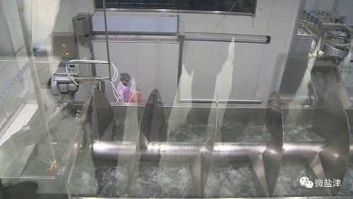 鹽津縣2021年 百日行動(dòng) 招聘會(huì) 云南綠源食品科技受熱捧