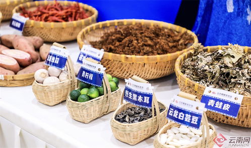 2024 大理味道 美食季 暨云品進(jìn)京推介活動(dòng)啟動(dòng)