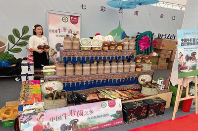 云南景洪市農(nóng)產(chǎn)品區(qū)域公共品牌“象往版納”助力農(nóng)產(chǎn)品外銷